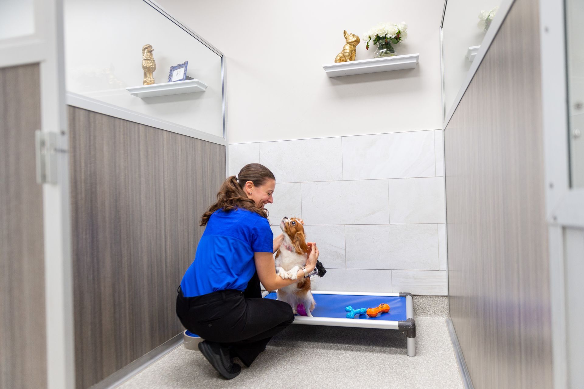 A woman is kneeling down next to a dog in a kennel.