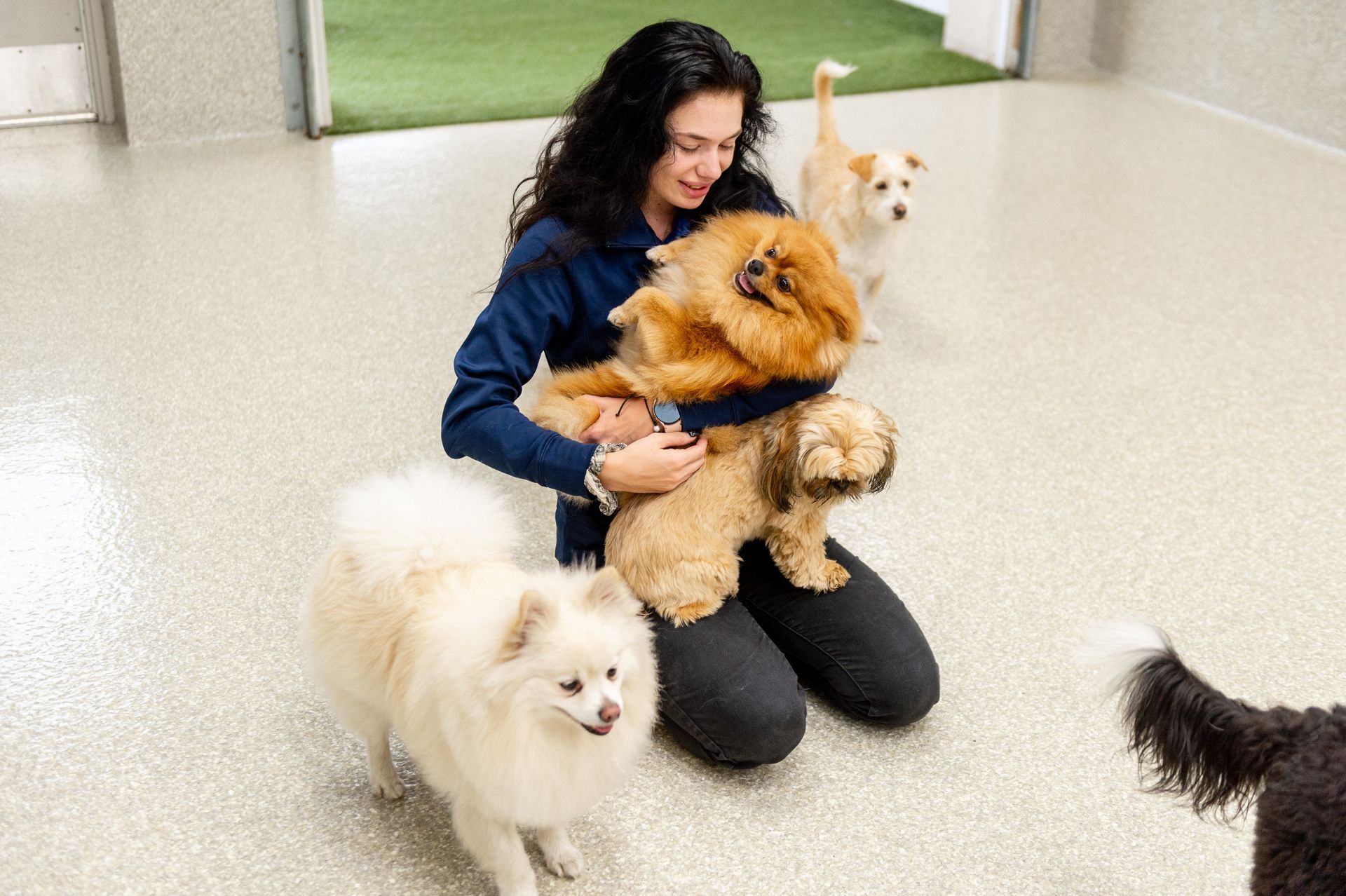 A woman is kneeling on the floor with three dogs.