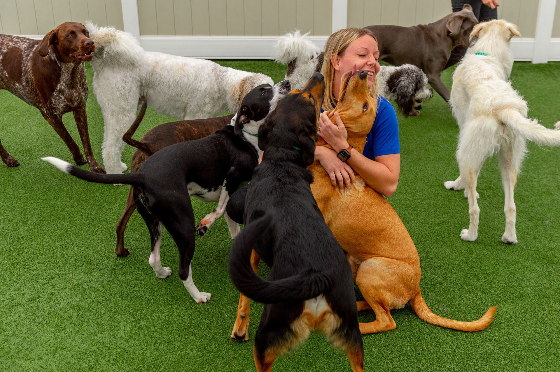 A woman is surrounded by a group of dogs at a dog daycare.