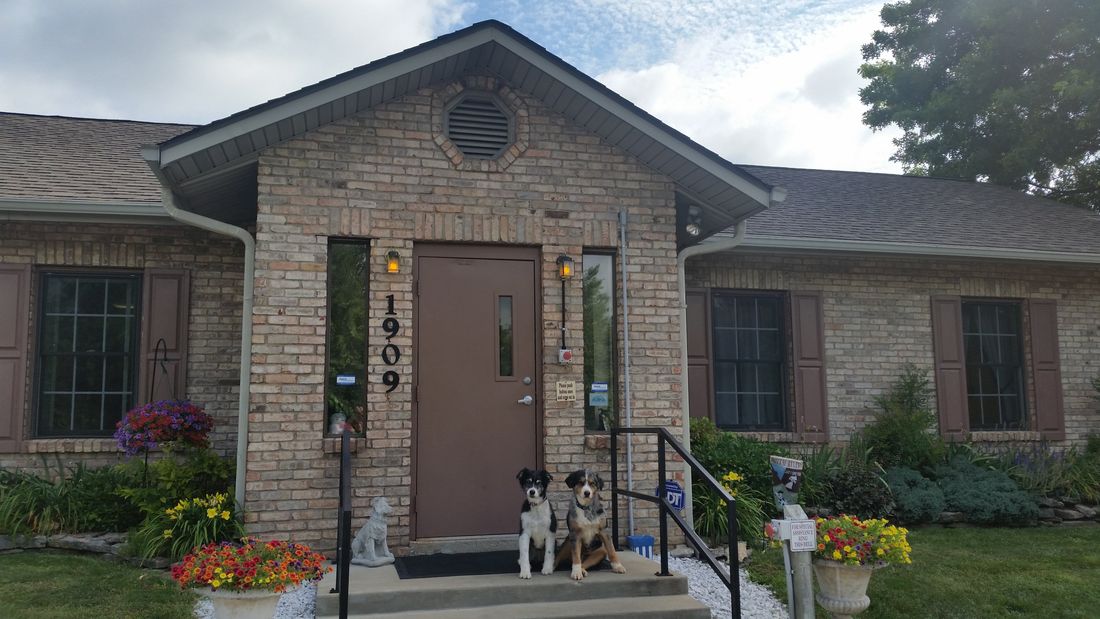 All Creatures Inn Dog Boarding Nicholasville, KY