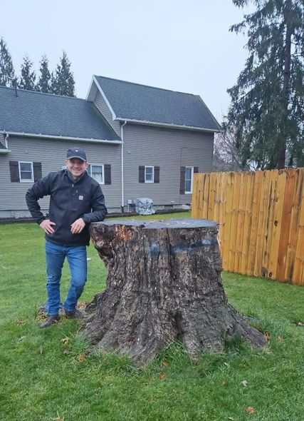 Man stands next to large tree stump in a grassy yard. A house and fence are in the background.
