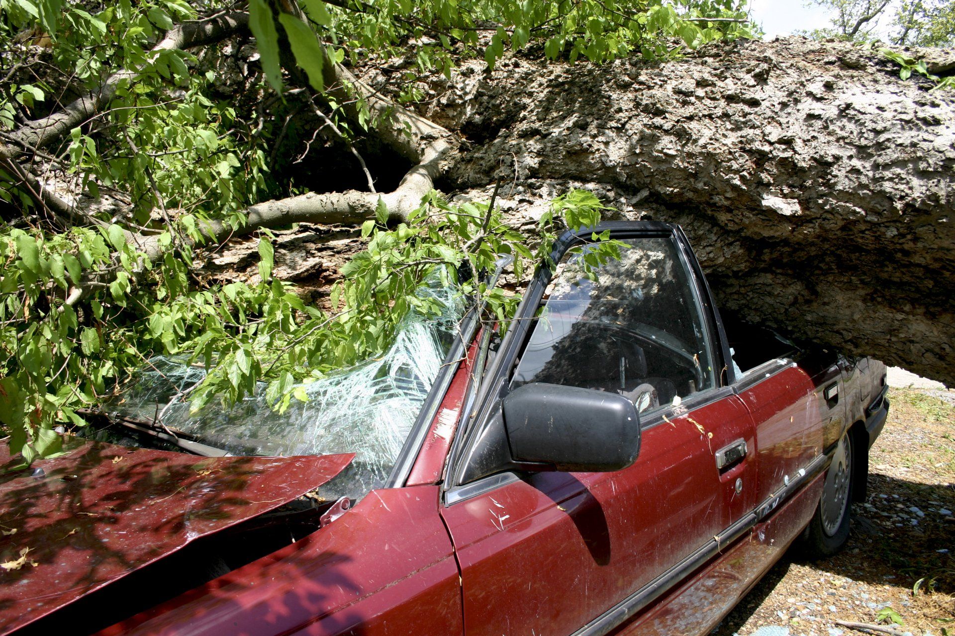 Comprehensive coverage — Salt Lake City, UT — Advance Insurance SLC