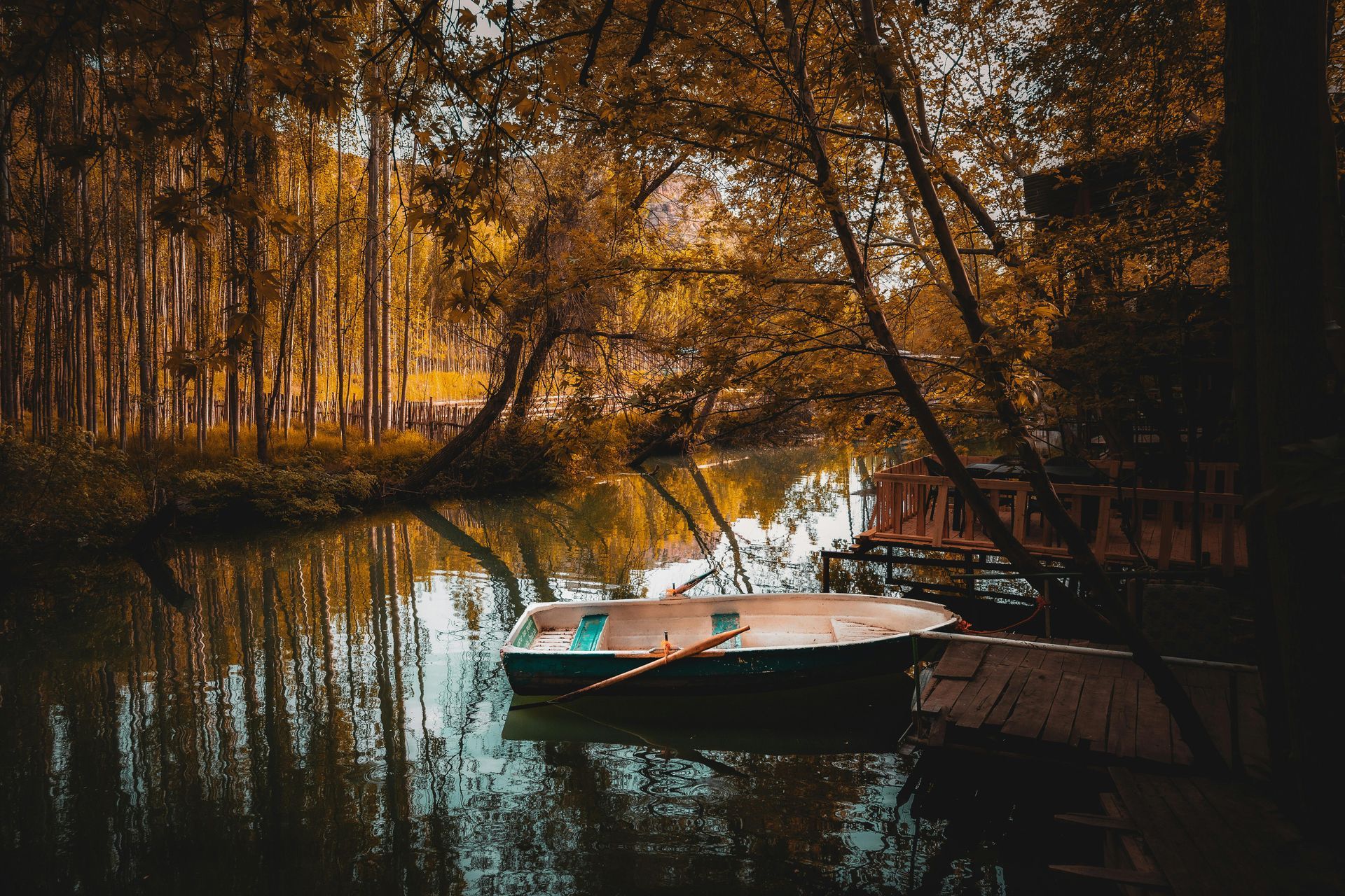 Un barco flota en un lago en medio de un bosque.