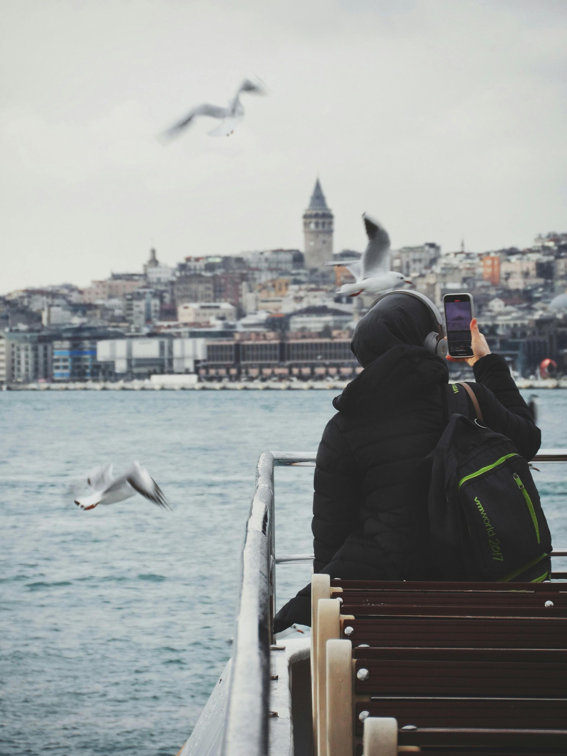 Una persona tomando una fotografía de gaviotas en un barco
