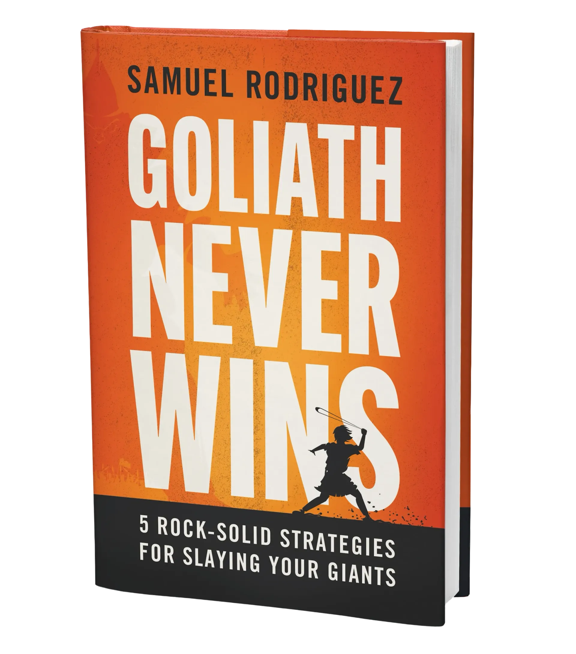 Goliath Never Wins Book