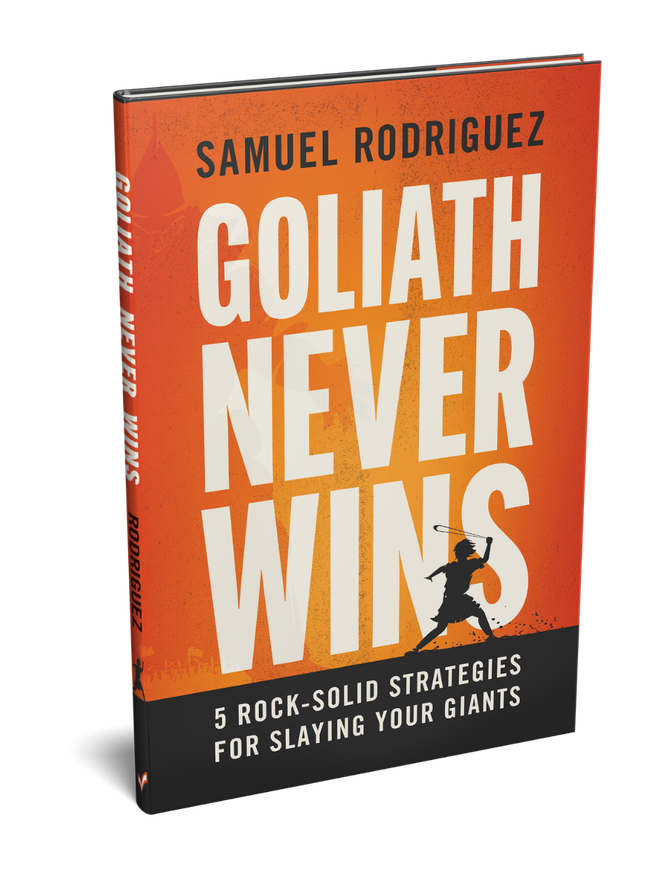Goliath Never Wins book