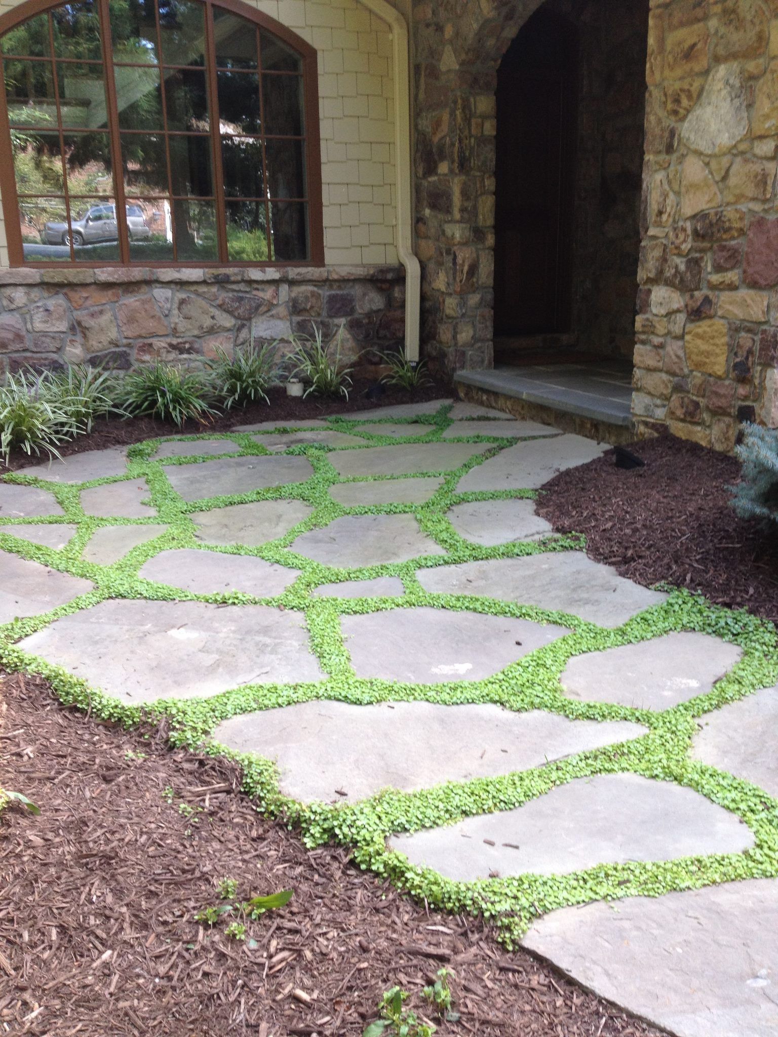 A stone walkway with grass growing on it in front of a stone building