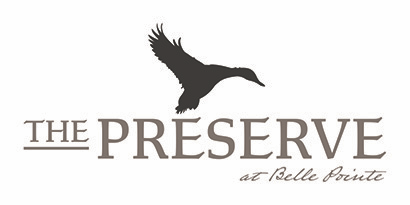 A stone wall with a tree on it