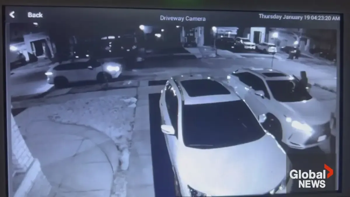 Car theft in peel region