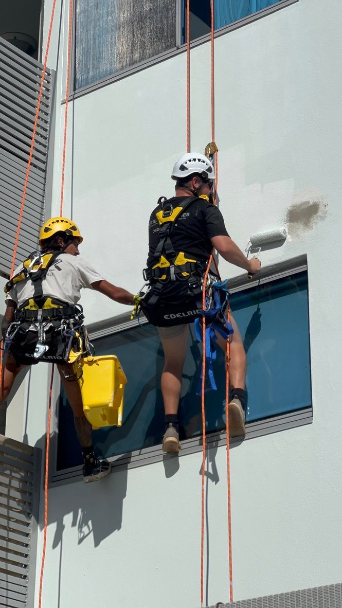A Person Wearing a Harness and Ropes — Dezigner Finishes Professional Painting & Decorating in Caloundra, QLD