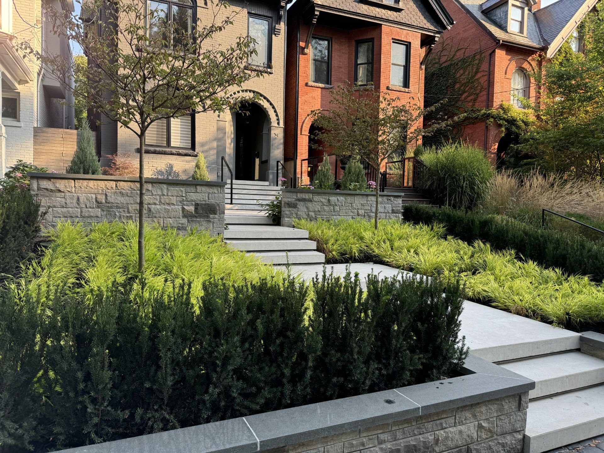front yard of residential modern home