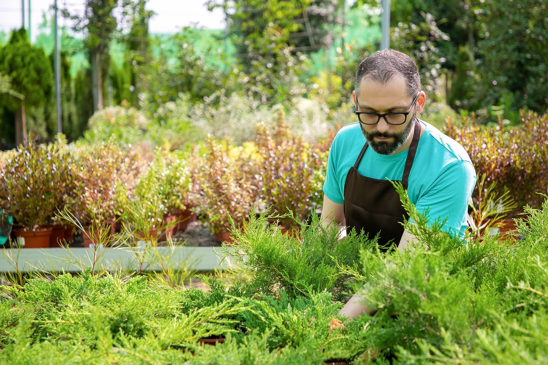 gardener working with various plants