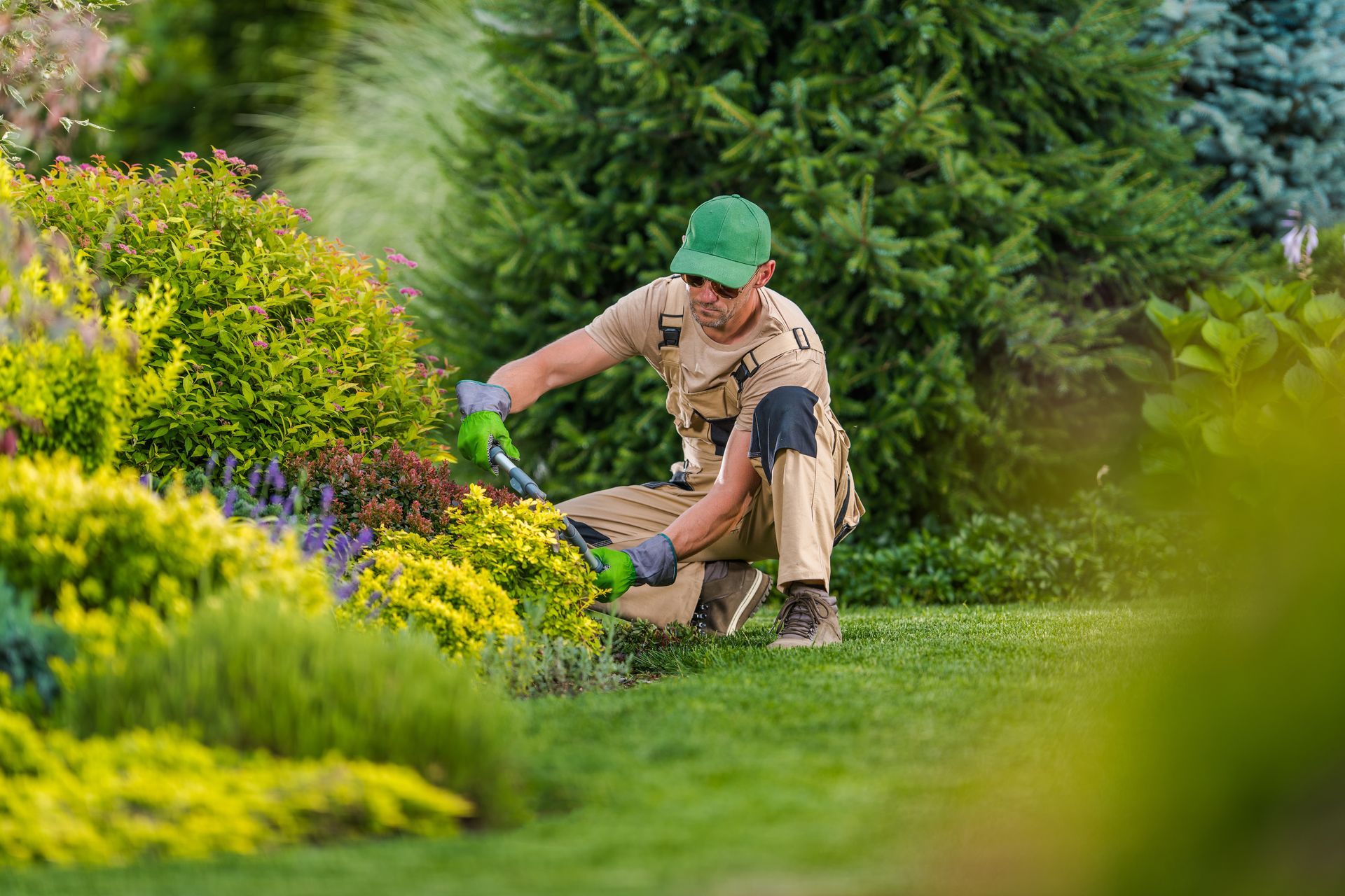 gardener pruning shrubs and bushes