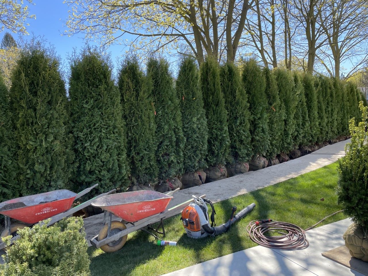 Shades of Green Landscape Work Sample