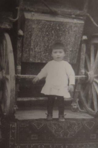 Warentransport in Österreich