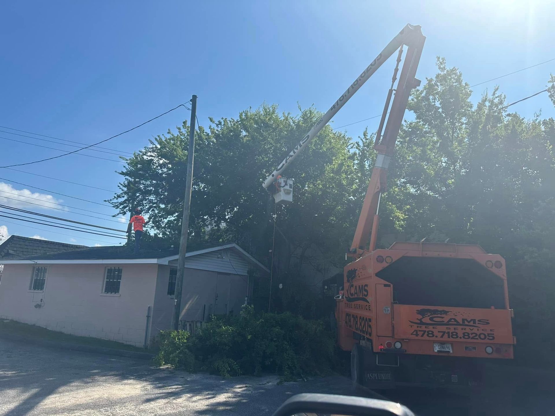 A crane is cutting a tree in front of a house.