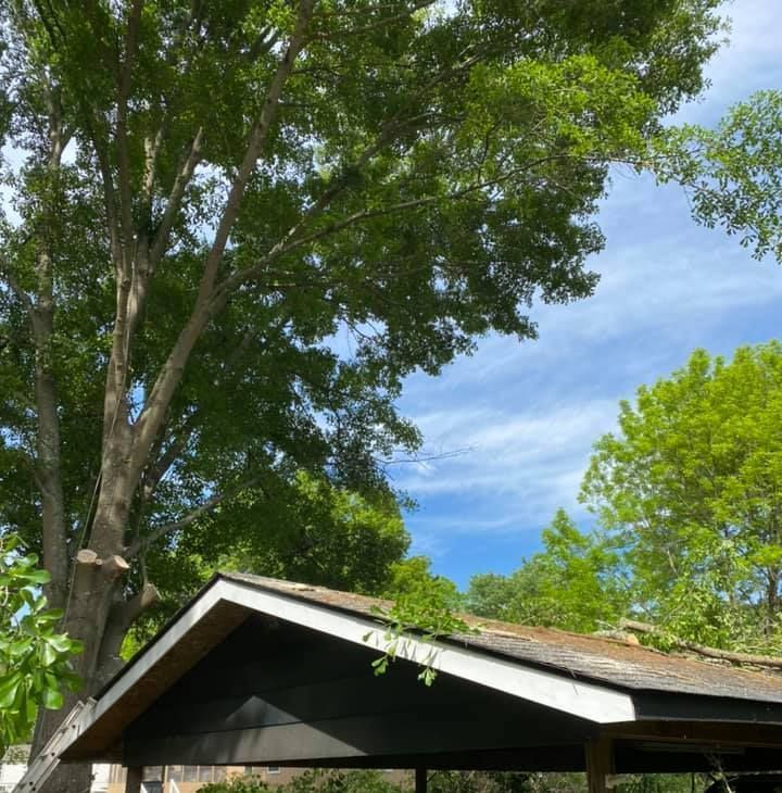 A gazebo with a tree in the background and a blue sky