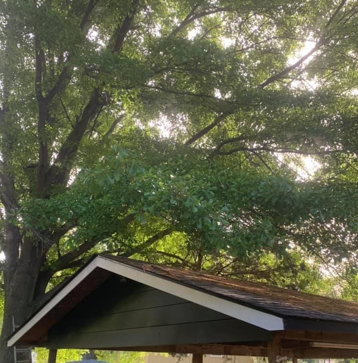 A roof of a house with a tree in the background