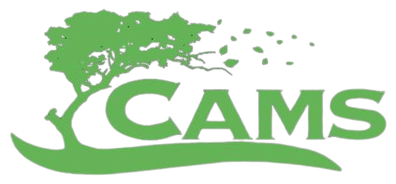 A green logo with a tree and the word cams