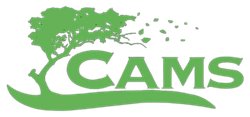 A green logo with a tree and the word cams