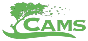 A green logo with a tree and the word cams