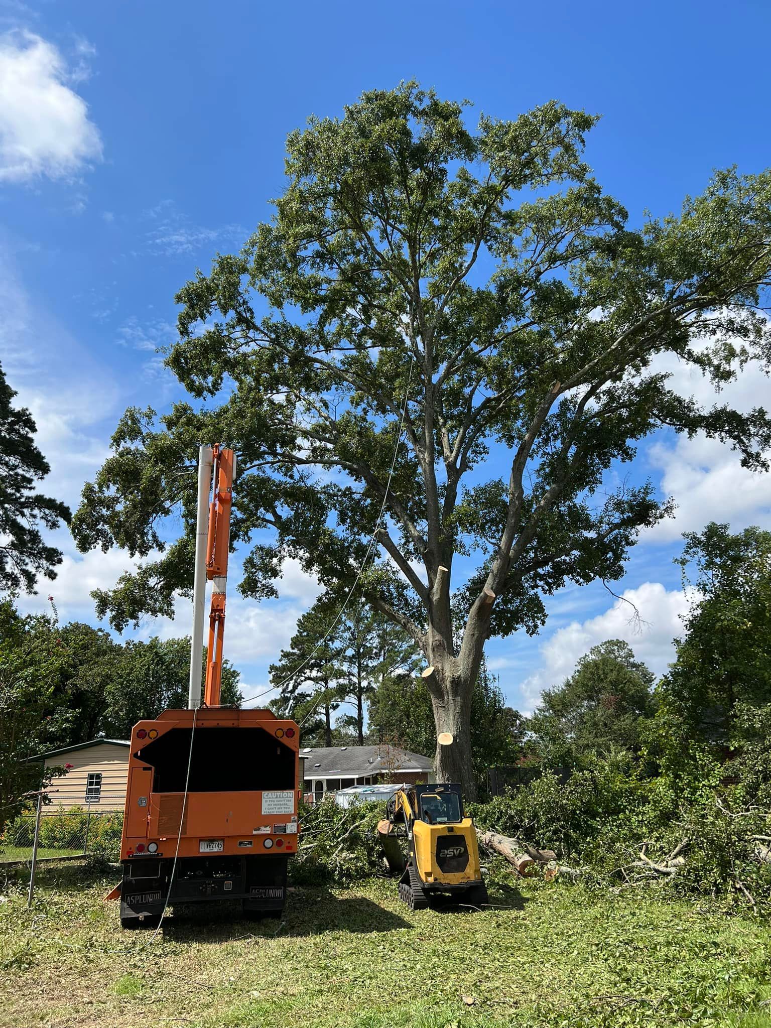 A large tree is being cut down by a large orange machine