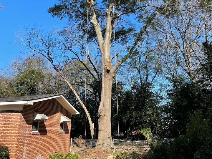 A brick house with a tree in front of it