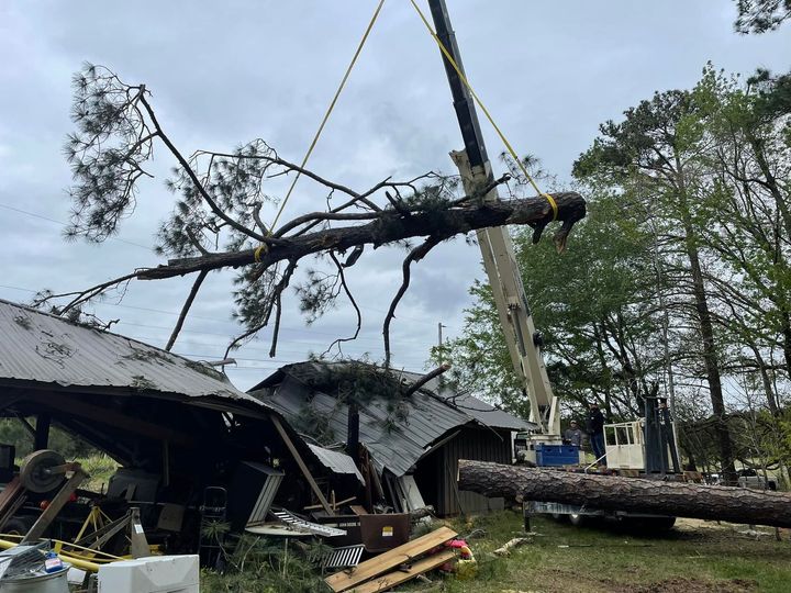 A large tree branch is being lifted by a crane