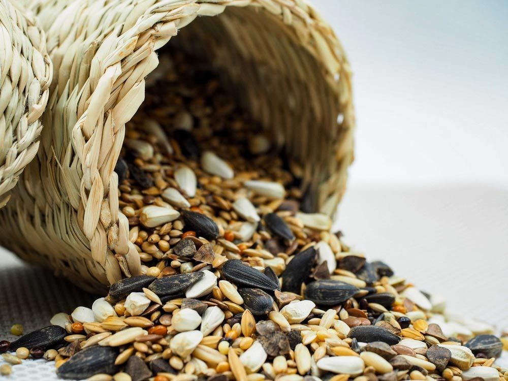 A Basket Filled With Seeds Is Spilling Out Onto A Table — Dillon Rural In Kew, NSW