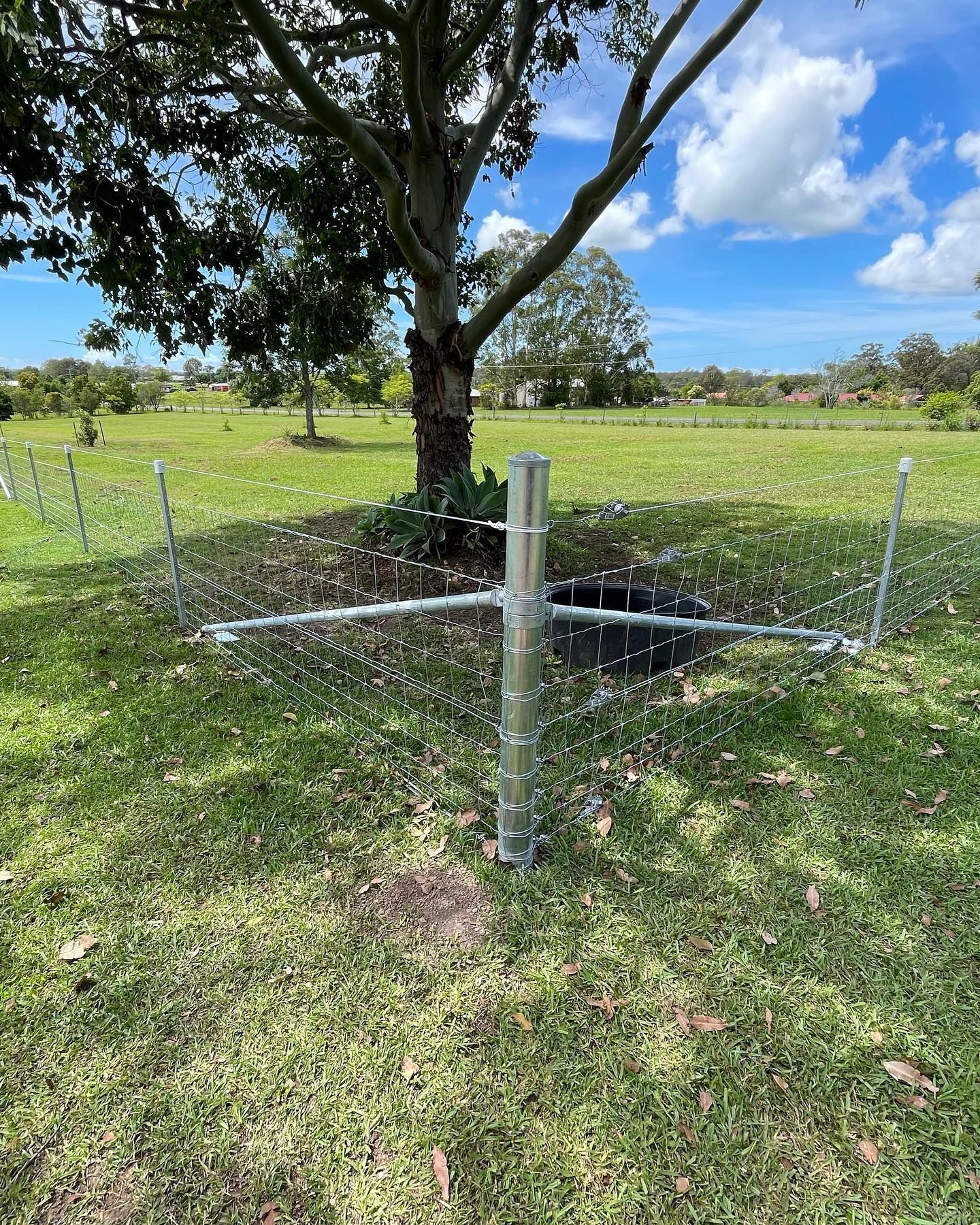 Steel Fencing — Dillon Rural In Cundletown, NSW