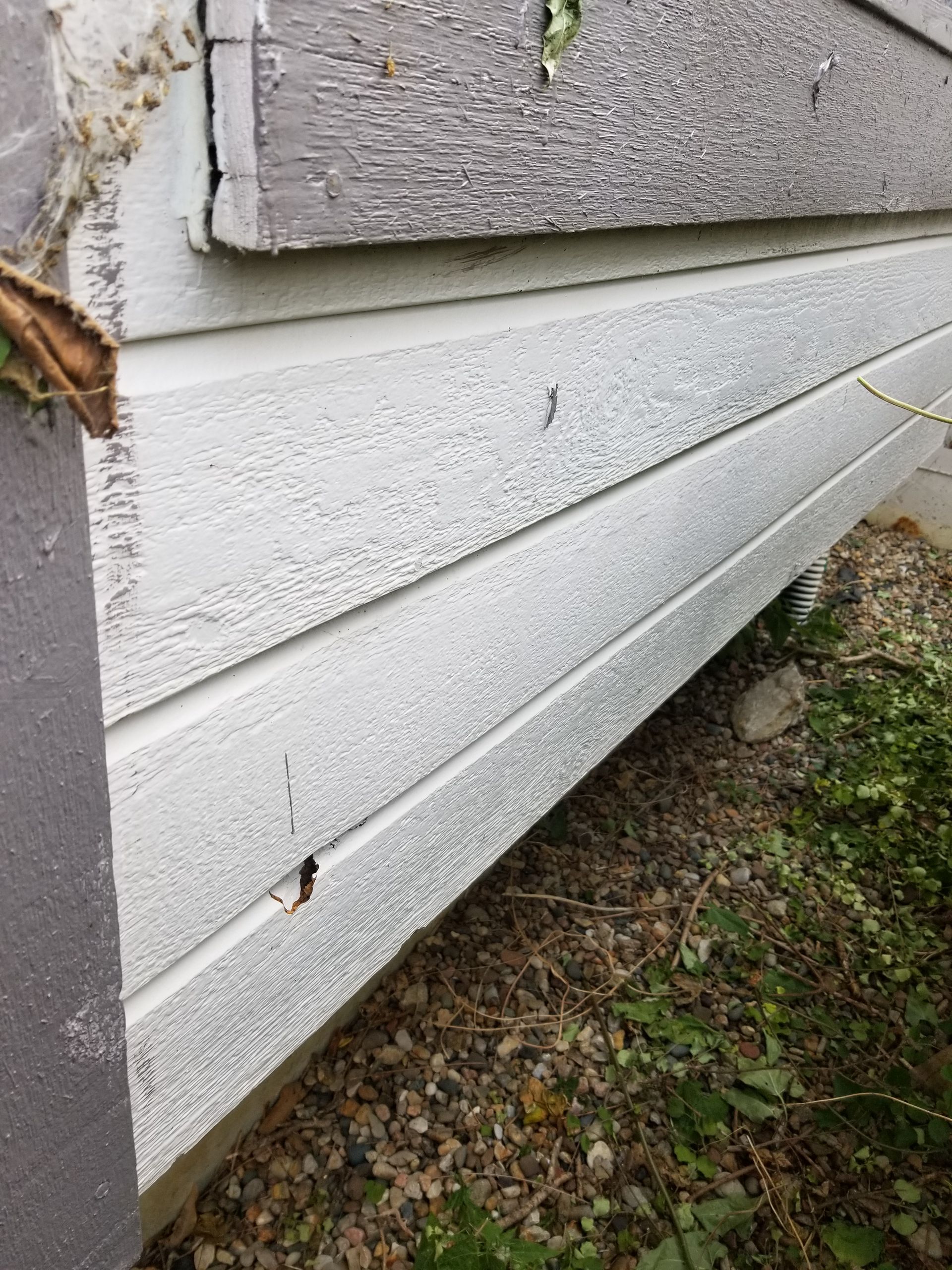 Dutch lap needing repair in Liberty MO by Home Pros Painting