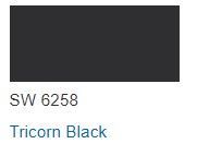 Sherwin Williams color chip Tricorn Black SW 6258