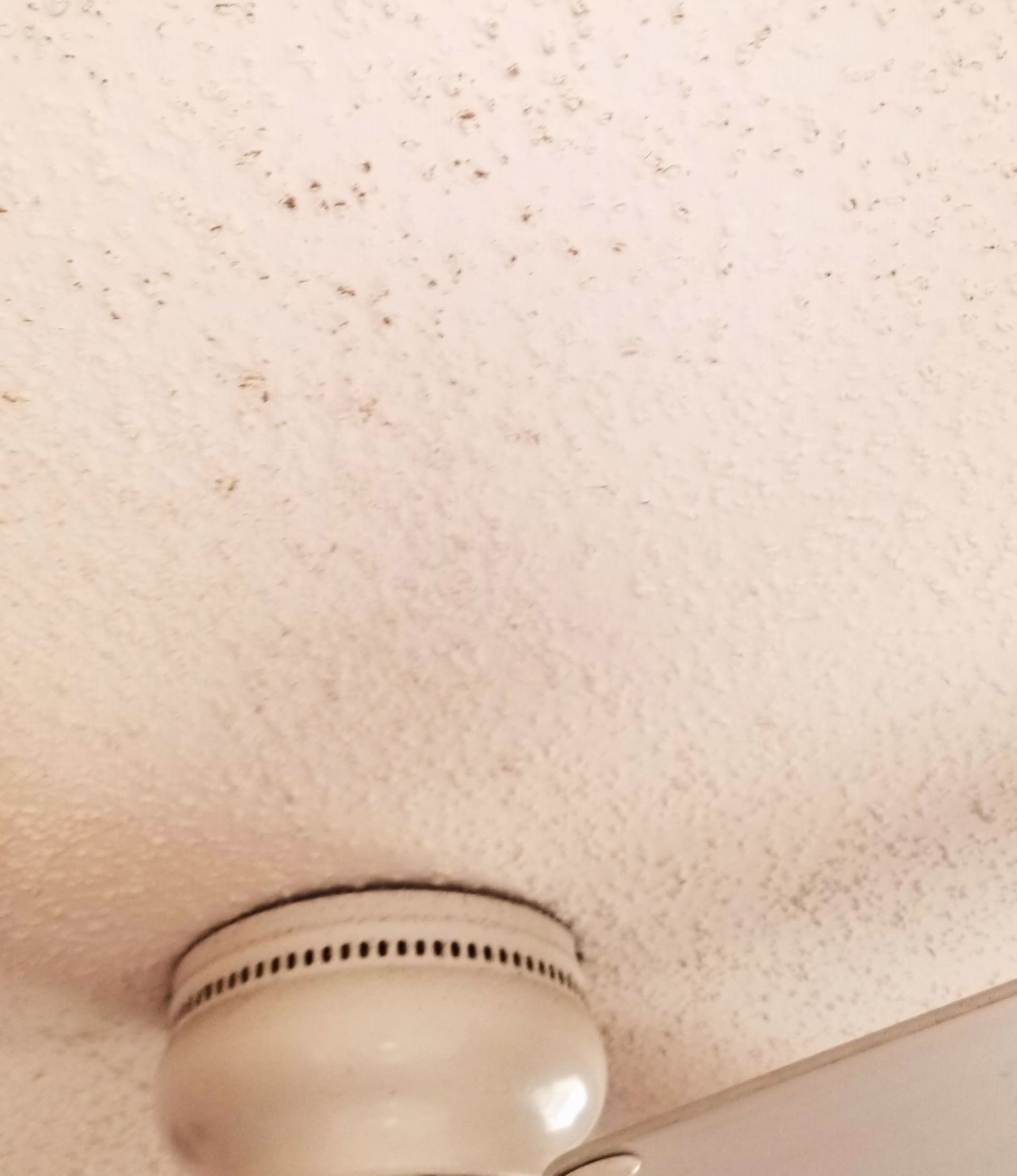 Popcorn Ceiling Hard To Clean Home Pros Painting
