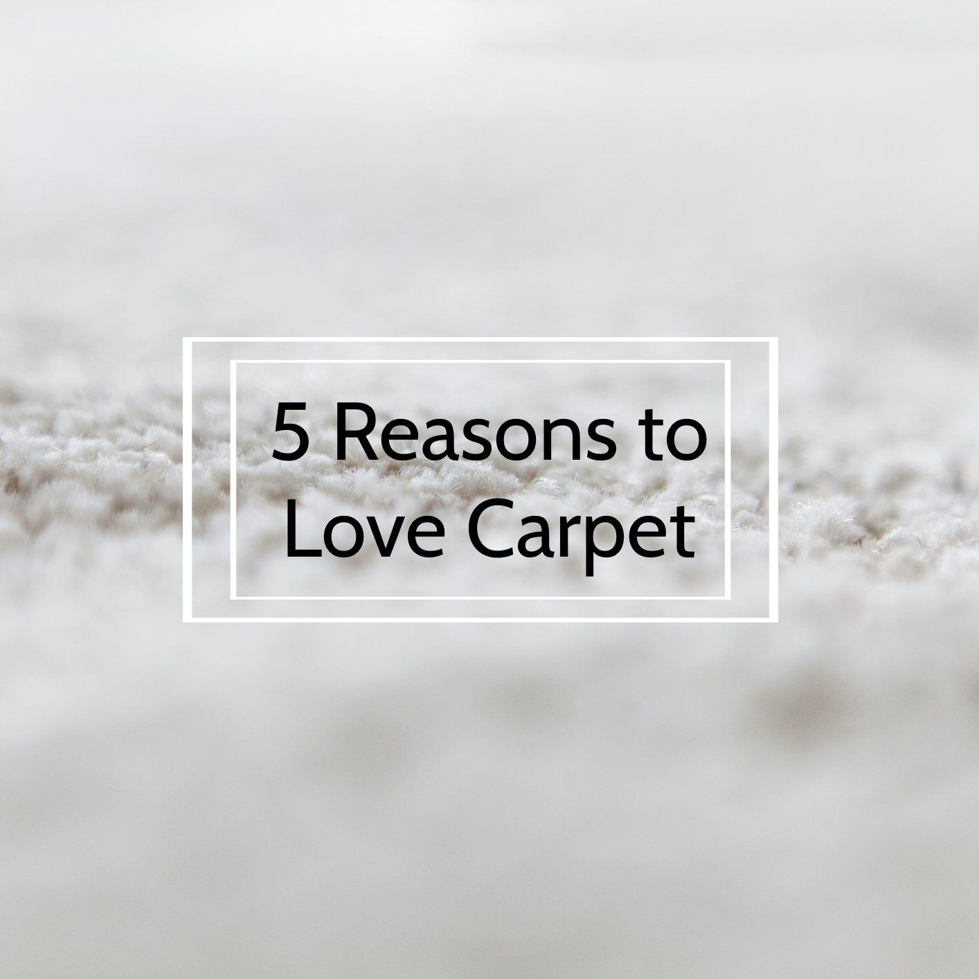 5 Reasons to Love Carpet