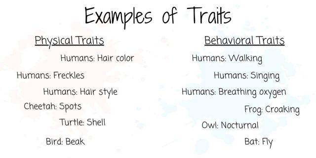 ppt-inherited-vs-acquired-traits-date-powerpoint-presentation-free