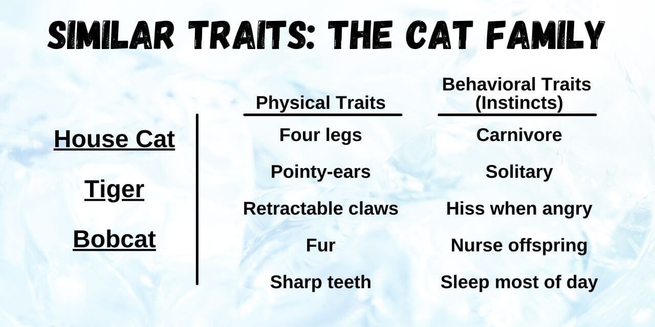 Inherited vs. Acquired Traits | edZOOcating