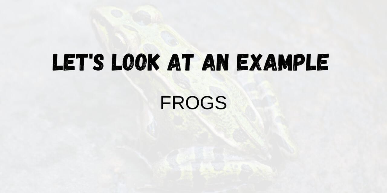 explaining frog metamorphosis