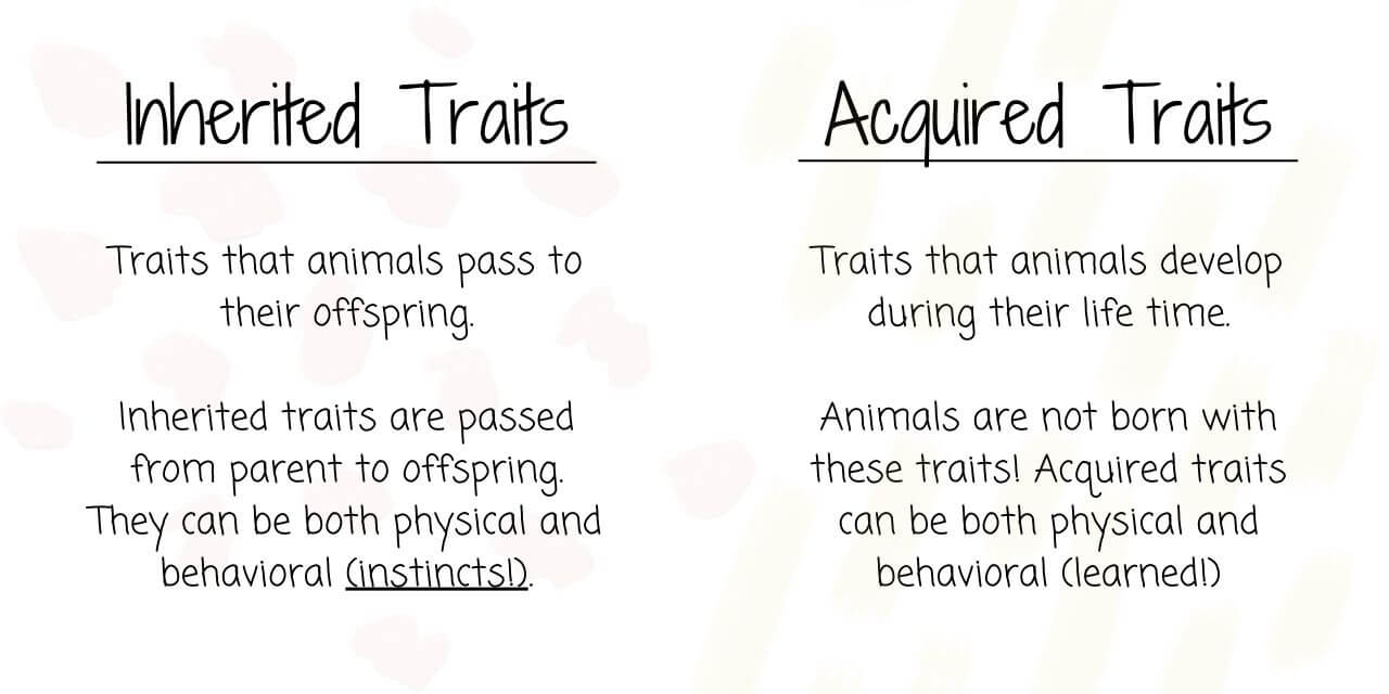 inherited vs acquired traits