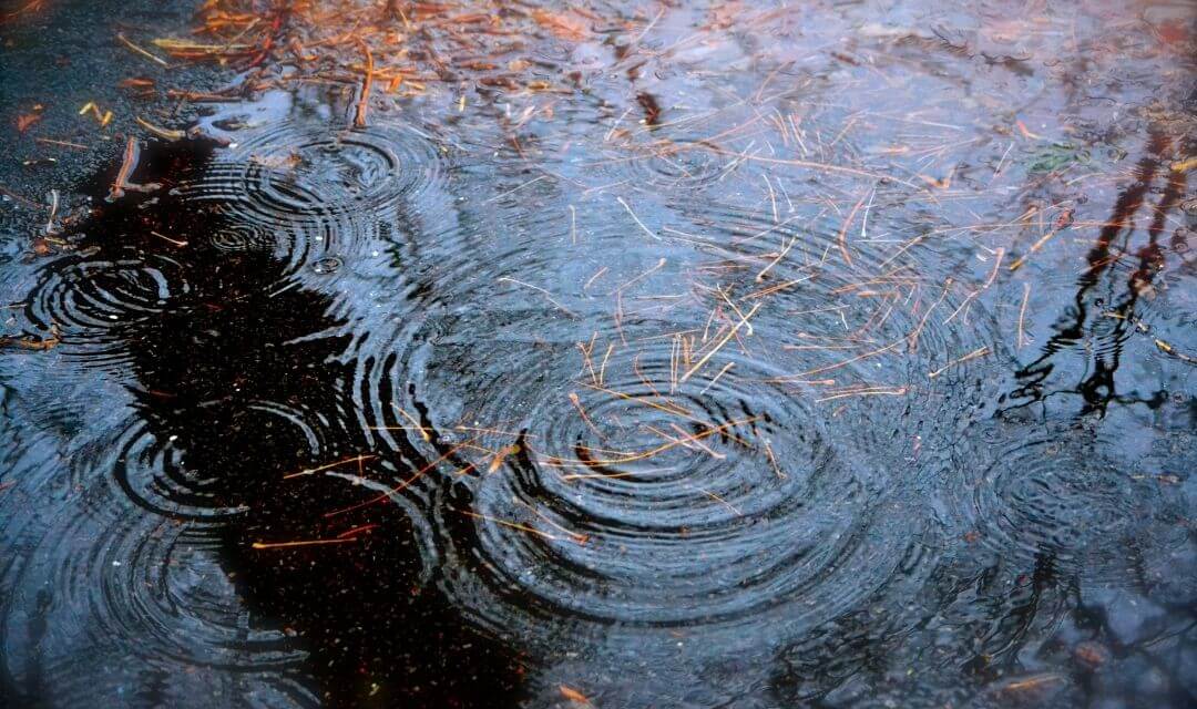 raindrops falling into a large puddle