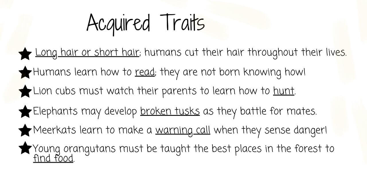 acquired traits examples