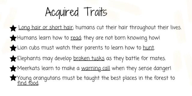 What Are 5 Traits Acquired In Animals