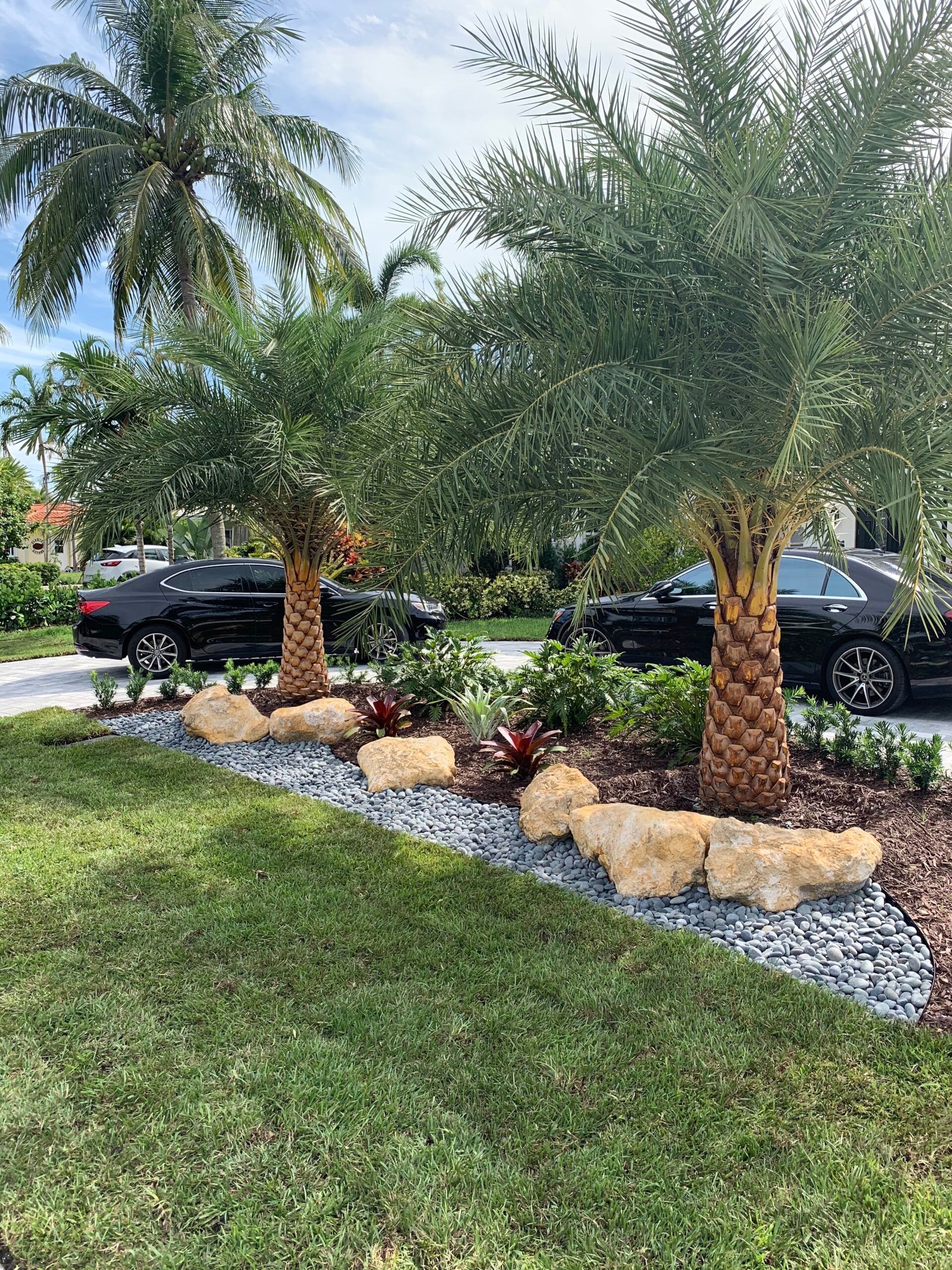 plant and tree install south florida