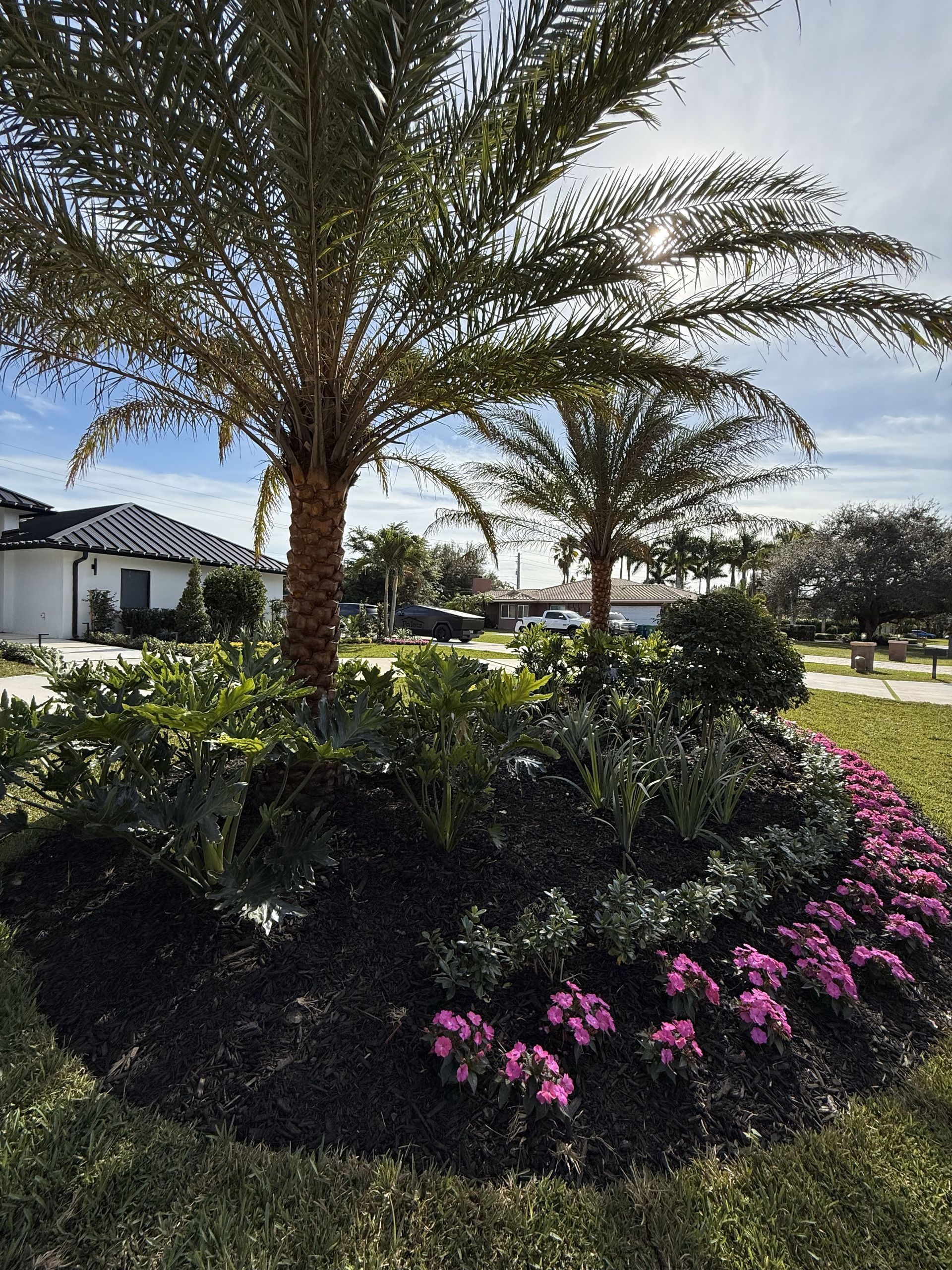 lush tropical plants and trees, native to South Florida