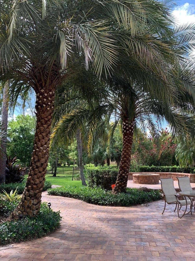 tree install south florida