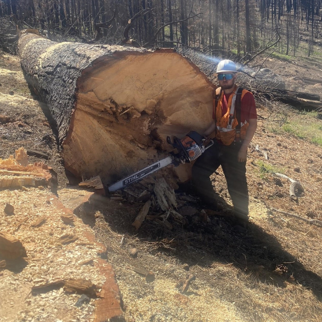 About Precision Timber Works, Inc.