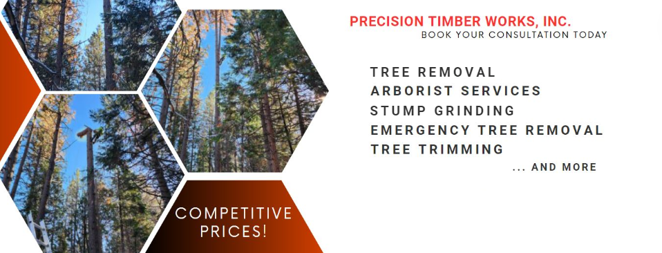 Tahoe Vista Tree Service