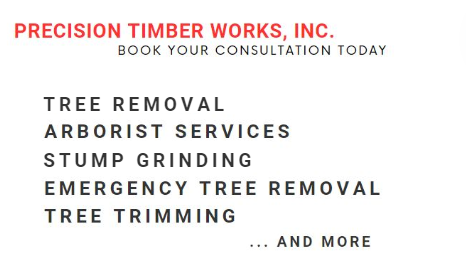 Tahoe Vista Tree Service
