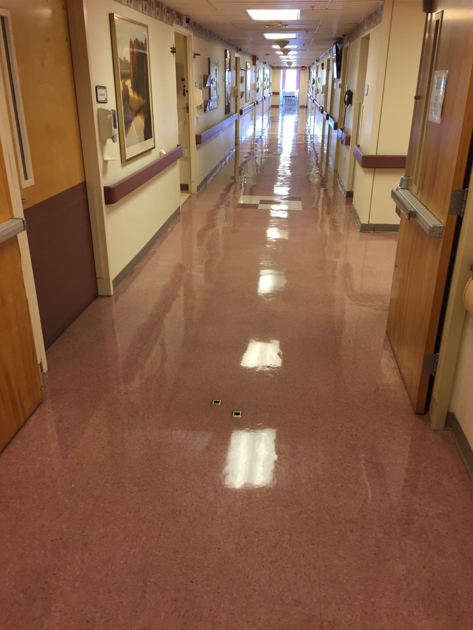 Albany cleaning-gallery