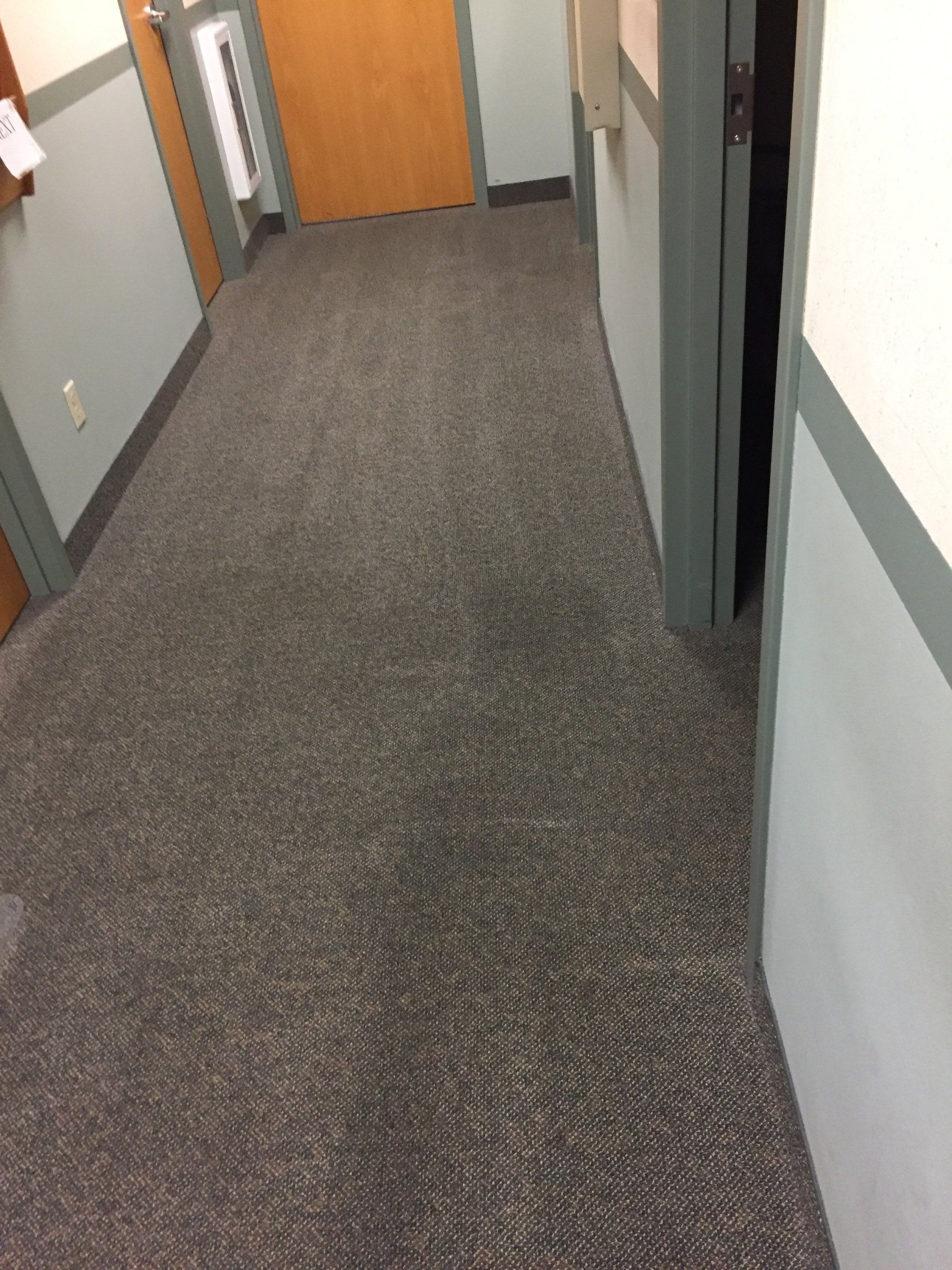 Albany cleaning-gallery