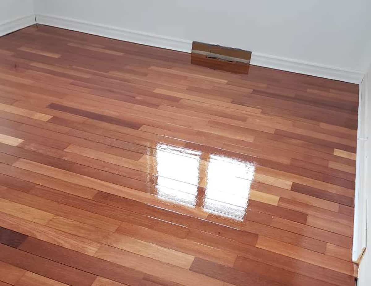 Shiny, reddish-brown hardwood floor reflecting sunlight from a window. Empty room with white trim.